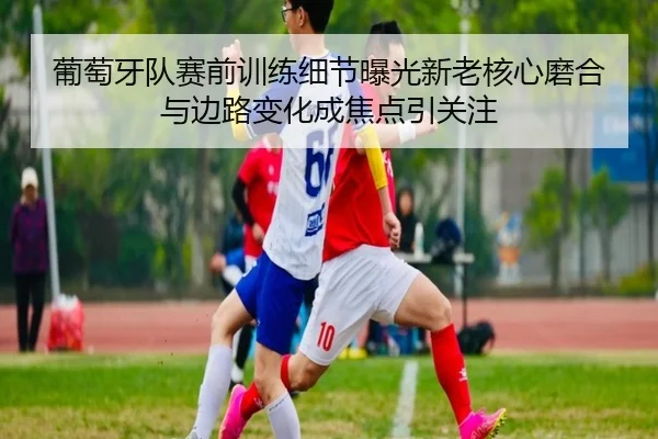 葡萄牙队赛前训练细节曝光新老核心磨合与边路变化成焦点引关注